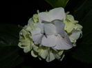 DSCN1933