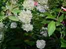 DSCN1986