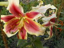 DSCN0589[1]