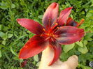 DSCN0591[1]