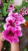 20160706_164035