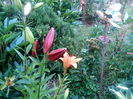 IMG_20160707_191204