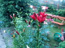 IMG_20160707_191110