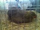 Imag054