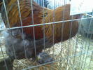 Imag055