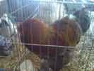 Imag056
