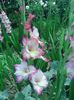 IMG_20160708_121525