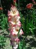IMG_20160708_121605
