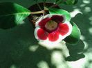 IMG_20160708_122529