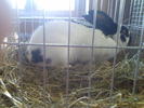 Imag064