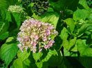 IMG_20160708_121925