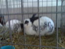 Imag071