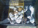 Imag072