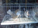 Imag073
