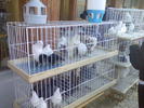 Imag075