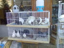 Imag078
