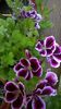 WP_20160703_12_28_07_Pro