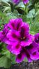 WP_20160703_12_27_25_Pro