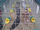 DSC00061