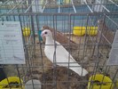 DSC00068