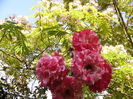P1290857