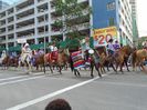 stampede 018 calgary 08072016