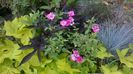 WP_20160708_145