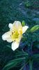 WP_20160706_017