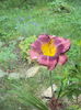 DSC05151