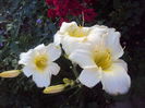 DSC05201