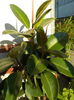DSCN0559[1]