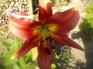 DSCN0599[1]