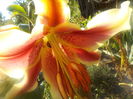 DSCN0601[1]
