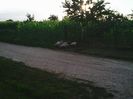 Photo0220