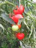 Photo0232