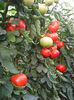 Photo0233