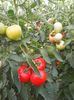 Photo0234