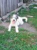 Photo0243