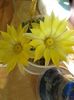 20160630_092443