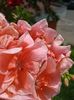 20160630_103448