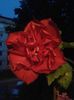 20160630_214518