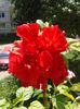 20160701_115625