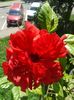 20160701_115633