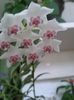 20160703_190740