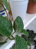 20160703_190826