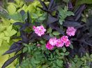 WP_20160709_052
