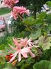 20160703_190924