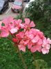 20160703_190929