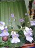 20160703_192042