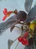20160703_192410